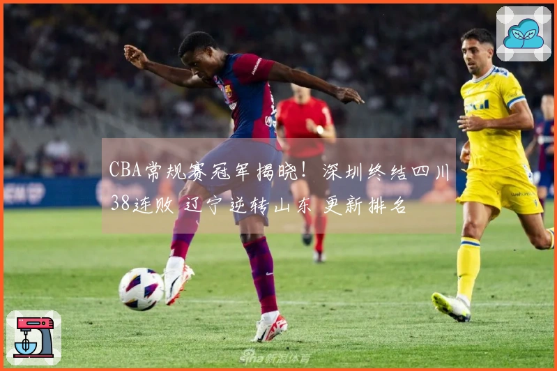 CBA常规赛冠军揭晓！深圳终结四川38连败 辽宁逆转山东 更新排名